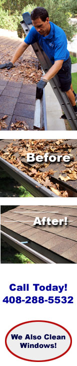Rain Gutter Cleaning Professionals