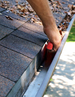 Rain Gutter Cleaning