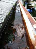 Standing Water in Rain Gutters